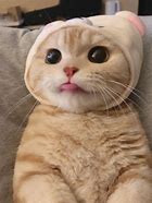 每个成年人都有自己的手机号码，但是不同号码由于其五行和理数不同，因此测出来的分数和吉凶情况也不一样