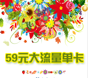 流量 电信:59元大流量单卡200分+5G流量